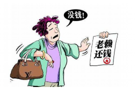 和政专业要账公司